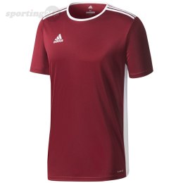 Koszulka dla dzieci adidas Entrada 18 Jersey JUNIOR bordowa CE9564 Adidas teamwear