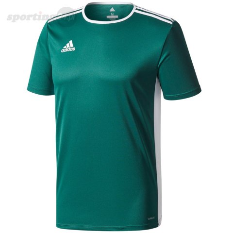 Koszulka dla dzieci adidas Entrada 18 Jersey JUNIOR zielona CE9563 Adidas teamwear