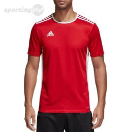 Koszulka męska adidas Entrada 18 Jersey czerwona CF1038 Adidas teamwear