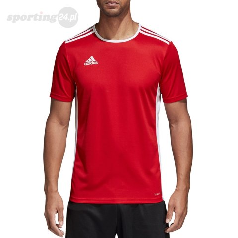 Koszulka męska adidas Entrada 18 Jersey czerwona CF1038 Adidas teamwear