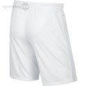 Spodenki męskie Nike Park II Knit Short NB białe 725887 100 Nike Team Spodenki męskie Nike Park II Knit Short NB białe 725887 100 Nike Team