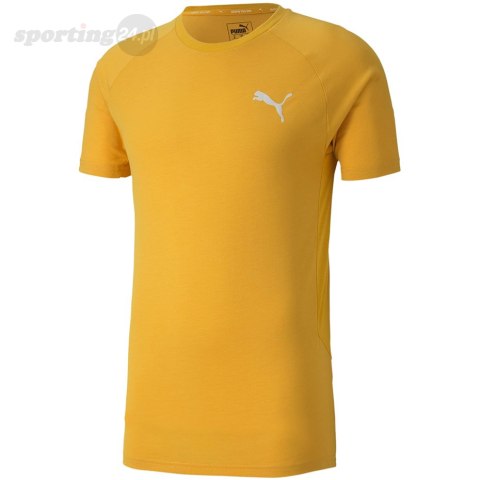 Koszulka męska Puma Evostripe Lite Tee żółta 581534 25 Puma Koszulka męska Puma Evostripe Lite Tee żółta 581534 25 Puma