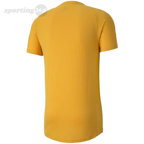 Koszulka męska Puma Evostripe Lite Tee żółta 581534 25 Puma Koszulka męska Puma Evostripe Lite Tee żółta 581534 25 Puma