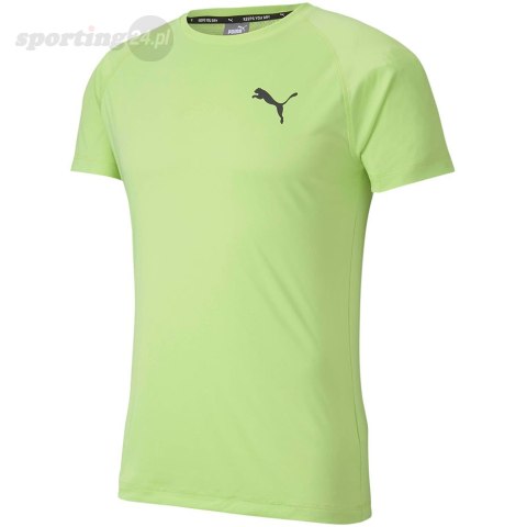 Koszulka męska Puma Rtg Tee Sharp zielona 581504 34 Puma Koszulka męska Puma Rtg Tee Sharp zielona 581504 34 Puma
