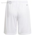 Spodenki dla dzieci adidas Squadra 21 Short Youth białe GN5765 Adidas teamwear