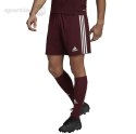 Spodenki męskie adidas Squadra 21 Short bordowe GN8083 Adidas teamwear