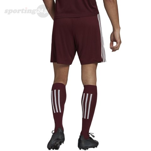 Spodenki męskie adidas Squadra 21 Short bordowe GN8083 Adidas teamwear Spodenki męskie adidas Squadra 21 Short bordowe GN8083 Adidas teamwear