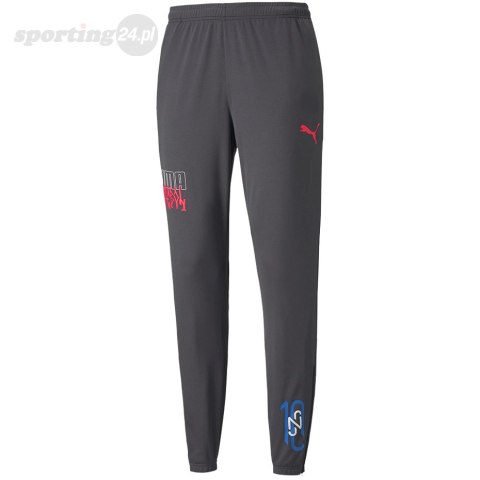 Spodnie męskie Puma Neymar Jr Futebol Training Pant szare 605600 07 Puma