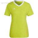 Koszulka damska adidas Entrada 22 Jsy limonkowa HC5080 Adidas teamwear