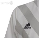 Koszulka dla dzieci adidas Entrada 22 Graphic Jersey biało-szara HF0120 Adidas teamwear