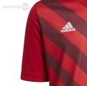 Koszulka dla dzieci adidas Entrada 22 Graphic Jersey czerwona H58983 Adidas teamwear