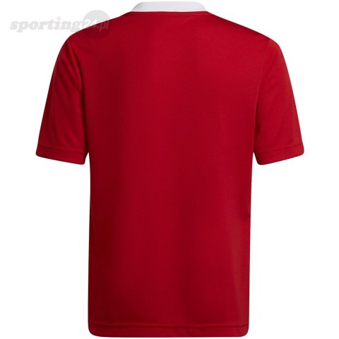 Koszulka dla dzieci adidas Entrada 22 Jsy czerwona H57496 Adidas teamwear Koszulka dla dzieci adidas Entrada 22 Jsy czerwona H57496 Adidas teamwear