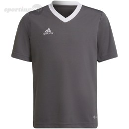 Koszulka dla dzieci adidas Entrada 22 Jsy szara H57499 Adidas teamwear