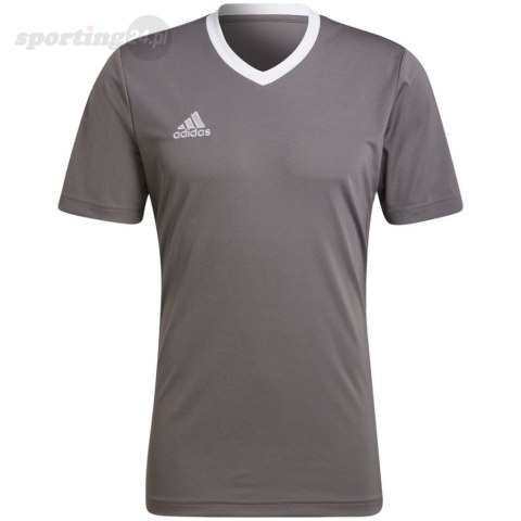 Koszulka męska adidas Entrada 22 Jersey szara HE1574 Adidas teamwear