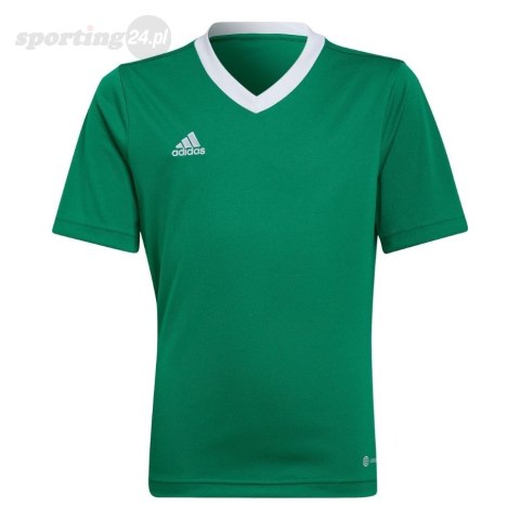 Koszulka dla dzieci adidas Entrada 22 Jersey zielona HI2126 Adidas teamwear Koszulka dla dzieci adidas Entrada 22 Jersey zielona HI2126 Adidas teamwear