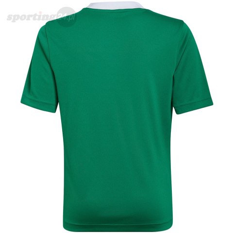 Koszulka dla dzieci adidas Entrada 22 Jersey zielona HI2126 Adidas teamwear Koszulka dla dzieci adidas Entrada 22 Jersey zielona HI2126 Adidas teamwear
