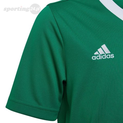 Koszulka dla dzieci adidas Entrada 22 Jersey zielona HI2126 Adidas teamwear Koszulka dla dzieci adidas Entrada 22 Jersey zielona HI2126 Adidas teamwear