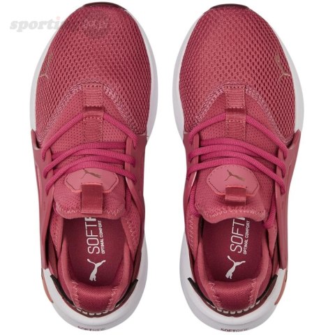 Buty damskie Puma Softride Enzo Evo brudny róż 377048 05 Puma Buty damskie Puma Softride Enzo Evo brudny róż 377048 05 Puma