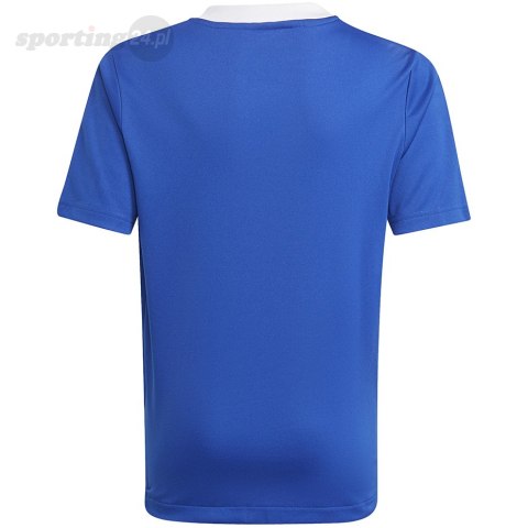 Koszulka dla dzieci adidas Tiro 21 Training Jersey niebieska GM7577 Adidas teamwear Koszulka dla dzieci adidas Tiro 21 Training Jersey niebieska GM7577 Adidas teamwear
