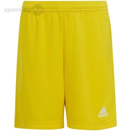 Spodenki dla dzieci adidas Entrada 22 żółte IC7411 Adidas teamwear