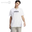 Koszulka męska adidas All SZN Graphic Tee biała IC9821 Adidas