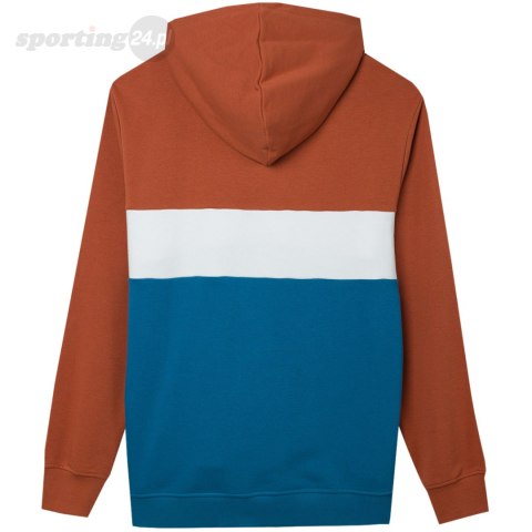 Bluza męska 4F M1032 brąz 4FWSS24TSWSM1032 81S 4F Bluza męska 4F M1032 brąz 4FWSS24TSWSM1032 81S 4F