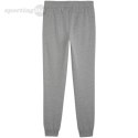 Spodnie męskie Puma Team Goal Casuals szare 658598 33 Puma Spodnie męskie Puma Team Goal Casuals szare 658598 33 Puma