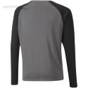 Bluza bramkarska dla dzieci Puma teamPACER GK LS Jersey szara 704939 43 Puma