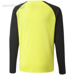 Bluza bramkarska dla dzieci Puma teamPACER GK LS Jersey żółta fluo 704939 42 Puma