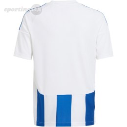 Koszulka dla dzieci adidas Striped 24 biało-niebieska IW2134 Adidas teamwear