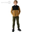 Polar dla chłopca 4F M212 złoty 4FJWAW24TFLEM212 74S 4F