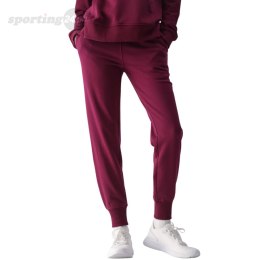 Spodnie damskie 4F F0946 fioletowe 4FWMM00TTROF0946 51S 4F