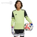 Koszulka bramkarska dla dzieci adidas Squadra 25 Long Sleeve limonkowa JJ1940 Adidas teamwear