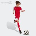 Koszulka dla dzieci adidas Squadra 25 czerwona JJ0051 Adidas teamwear
