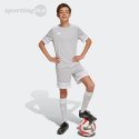 Koszulka dla dzieci adidas Squadra 25 jasnoszara JJ0061 Adidas teamwear