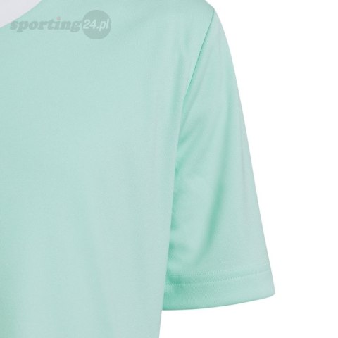 Koszulka dla dzieci adidas Entrada 22 Jersey miętowa HC5078 Adidas teamwear Koszulka dla dzieci adidas Entrada 22 Jersey miętowa HC5078 Adidas teamwear