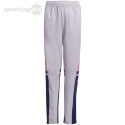 Spodnie dla dzieci adidas Squadra 25 Training szaro-granatowe JP3369 Adidas