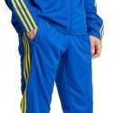 Spodnie męskie adidas Squadra 25 Training niebiesko-żółte JP3152 Adidas teamwear