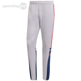 Spodnie męskie adidas Squadra 25 Training szare JP3372 Adidas