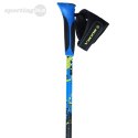 Kijki Nordic Walking Viking Ruten Pro 650-22-5190-15-UNI Viking