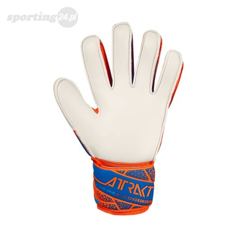 Rękawice bramkarskie Reusch Attrakt Solid Junior pomarańczowo-niebieskie 5572515 2290 Reusch Rękawice bramkarskie Reusch Attrakt Solid Junior pomarańczowo-niebieskie 5572515 2290 Reusch