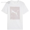 Koszulka męska Puma Graphics Wording Tee biała 684825 02 Puma
