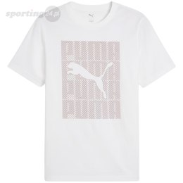 Koszulka męska Puma Graphics Wording Tee biała 684825 02 Puma