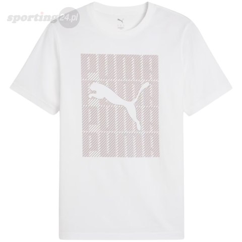 Koszulka męska Puma Graphics Wording Tee biała 684825 02 Puma Koszulka męska Puma Graphics Wording Tee biała 684825 02 Puma