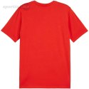 Koszulka męska Puma Team Goal Casuals Tee czerwona 658615 01 Puma