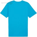 Koszulka męska Puma Team Rise Logo Jersey Cotton jasnoniebieska 658705 02 Puma
