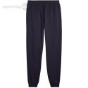 Spodnie męskie Puma Ess 2 Color No.1 Logo granatowe 684714 16 Puma