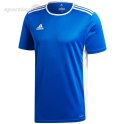 Koszulka dla dzieci adidas Entrada 18 Jersey JUNIOR niebieska CF1049 Adidas teamwear
